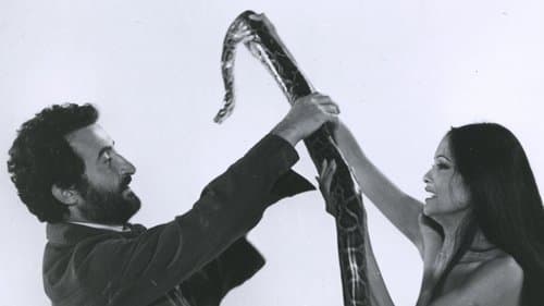 film card image