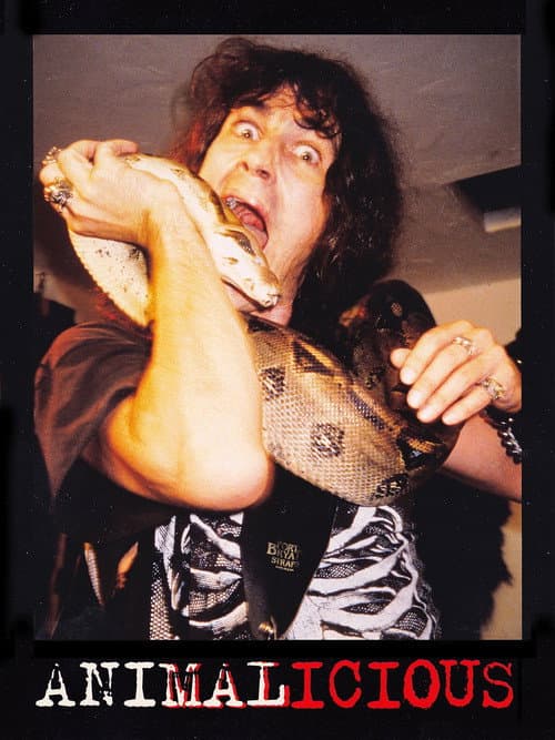 film card image