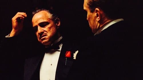 film card image