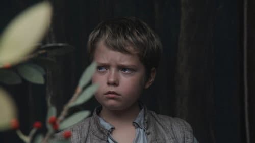 film card image
