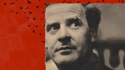 film card image
