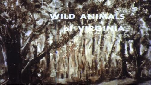film card image